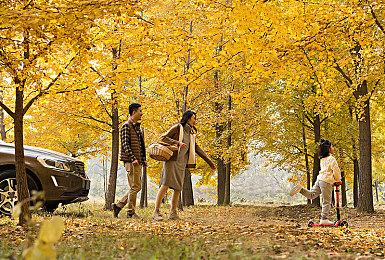 英特尔12代酷睿i9 12900K首个游戏性能测试曝光